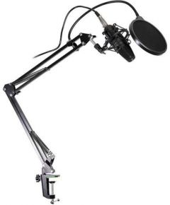 Condenser Microphone with pop filter TRACER Studio Pro