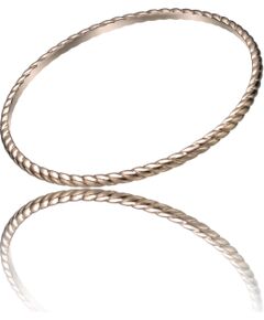 BRACELET TIME FORCE WOMAN TS5126BR ( ) Bižutērija