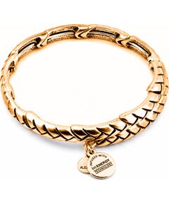 BRACELET ALEX AND ANI WOMEN V16W03RG (20CM ) Bižutērija