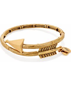 BRACELET ALEX AND ANI WOMEN V16W02RG (20CM ) Bižutērija