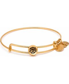 BRACELET ALEX AND ANI WOMEN SSEWB10G (20CM ) Bižutērija