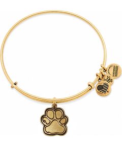 BRACELET ALEX AND ANI WOMEN CBD14POLRG (20CM ) Bižutērija