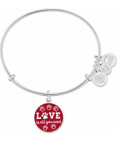 BRACELET ALEX AND ANI WOMEN A17EBWAP07SS (20CM ) Bižutērija