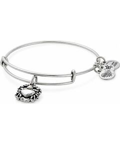 BRACELET ALEX AND ANI WOMEN A17EBCRRS (20CM ) Bižutērija