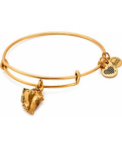 BRACELET ALEX AND ANI WOMEN A17EB73RG (20CM ) Bižutērija