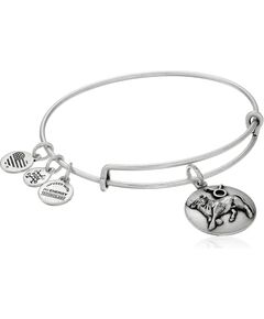 BRACELET ALEX AND ANI WOMEN A16EB59RS (17,5CM ) Bižutērija