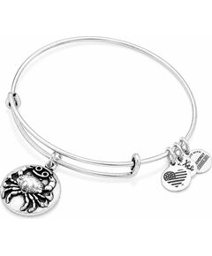 BRACELET ALEX AND ANI WOMEN A16EB52RS (20CM ) Bižutērija