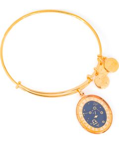 BRACELET ALEX AND ANI WOMEN A15EN35YG (20CM ) Bižutērija