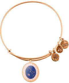 BRACELET ALEX AND ANI WOMEN A15EB69YG (20CM ) Bižutērija