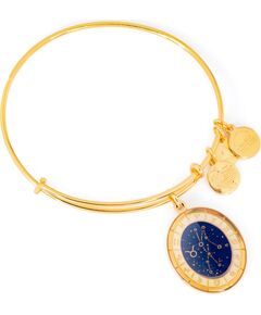 BRACELET ALEX AND ANI WOMEN A15EB68YG (20CM ) Bižutērija