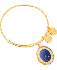 BRACELET ALEX AND ANI WOMEN A15EB65YG (20CM ) Bižutērija