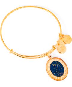 BRACELET ALEX AND ANI WOMEN A15EB61YG (20CM ) Bižutērija