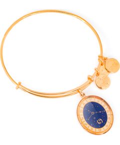 BRACELET ALEX AND ANI WOMEN A15EB60YG (20CM ) Bižutērija