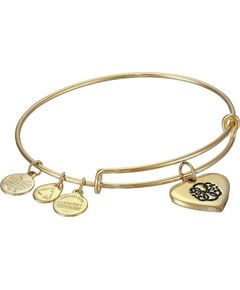 BRACELET ALEX AND ANI WOMEN A15EB02YG (17,5CM ) Bižutērija