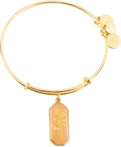 BRACELET ALEX AND ANI WOMEN A14EB94YG (20CM ) Bižutērija