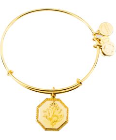 BRACELET ALEX AND ANI WOMEN A14EB92YG (20CM ) Bižutērija