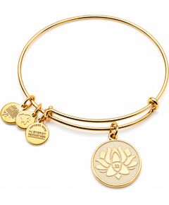 BRACELET ALEX AND ANI WOMEN A14EB54YG (20CM ) Bižutērija