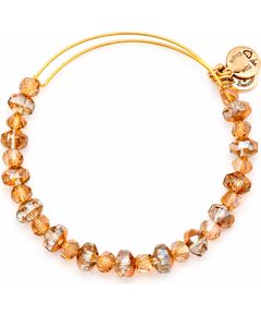 BRACELET ALEX AND ANI WOMEN A13EB42RG (20CM ) Bižutērija