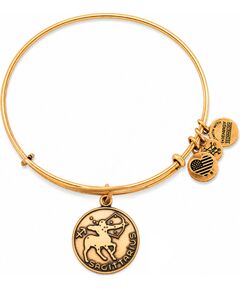 BRACELET ALEX AND ANI WOMEN A13EB01SARG (19-25CM ) Bižutērija
