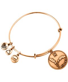 BRACELET ALEX AND ANI WOMEN A13EB01PIRG (19-25CM ) Bižutērija