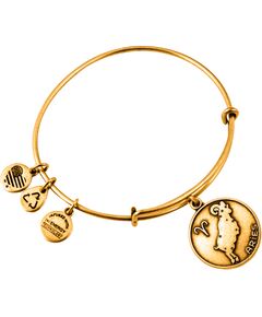 BRACELET ALEX AND ANI WOMEN A13EB01ARRG (19-25CM ) Bižutērija