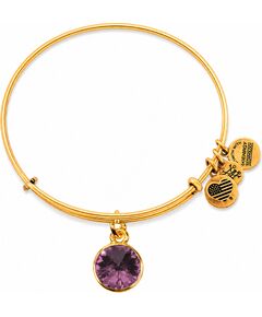 BRACELET ALEX AND ANI WOMEN A12EB245RG (19-25CM ) Bižutērija