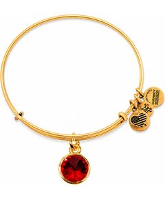BRACELET ALEX AND ANI WOMEN A12EB240RG (19-25CM ) Bižutērija