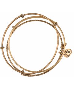 BRACELET ALEX AND ANI WOMEN A09EB150RG (19-25CM ) Bižutērija