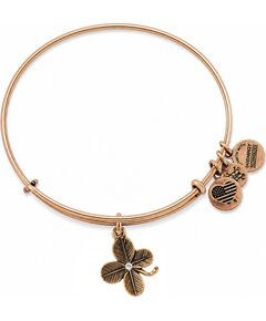 BRACELET ALEX AND ANI WOMEN A09EB143RG (19-25CM ) Bižutērija