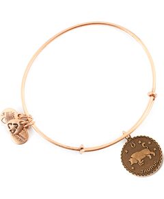 BRACELET ALEX AND ANI WOMEN A07EB40TARG (19-25CM ) Bižutērija