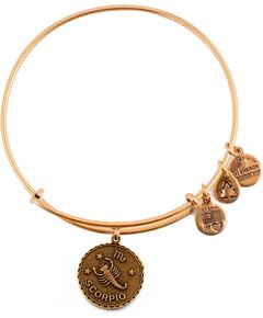 BRACELET ALEX AND ANI WOMEN A07EB40SCRG (19-25CM ) Bižutērija