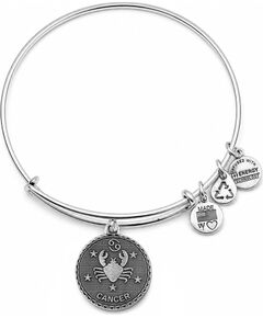 BRACELET ALEX AND ANI WOMEN A07EB40CNRS (19-25CM ) Bižutērija