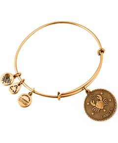 BRACELET ALEX AND ANI WOMEN A07EB40CNRG (19-25CM ) Bižutērija