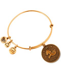 BRACELET ALEX AND ANI WOMEN A07EB40CARG (19-25CM ) Bižutērija