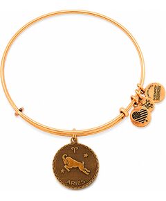 BRACELET ALEX AND ANI WOMEN A07EB40ARRG (19-25CM ) Bižutērija