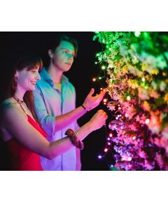 Twinkly Strings intelligent lighting string (multicolour + white edition) Ziemassvētku lampiņas, LED virtenes