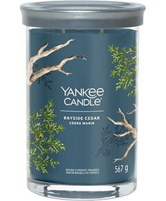 Yankee Candle Bayside Cedar Signature Tumbler Candle 122.0g Telpu aromāti