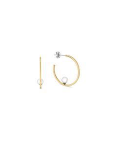 EARRINGS TOMMY HILFIGER WOMEN 2780964 (3CM ) Bižutērija