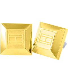 EARRINGS TOMMY HILFIGER WOMEN 2700646 (1CM ) Bižutērija