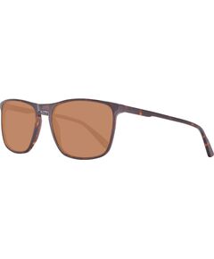 SUNGLASSES HELLY HANSEN MAN HH5004-C01-57 (Lens/Bridge/Temple) 57/18/140 mm) Солнцезащитные очки