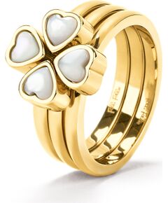 RING FOLLI FOLLIE WOMAN 2R19T001YW-52 (52 ) Bižutērija