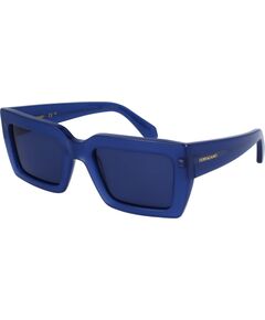 SUNGLASSES FERRAGAMO WOMEN SF1108S542142 (Lens/Bridge/Temple) 54/21/140 mm) Солнцезащитные очки