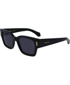 SUNGLASSES FERRAGAMO MAN SF2010S-1 (Lens/Bridge/Temple) 52/21/145 mm) Солнцезащитные очки