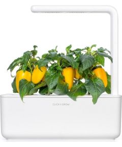 Click & Grow gudrā augu dārza uzpilde Dzeltenā saldā paprika 3gb.