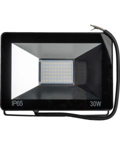 Omega LED prožektors 30W 4200K (43861)