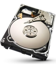 Dell Seagate Constellation.2 250GB 7200 RPM 64MB Cache SATA 6.0Gb/s 2.5" Enterprise-class Internal Hard Drive Bare Drive (Ir veikalā)