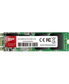 Silicon Power SSD A55 1TB, M.2 SATA, 560/530 MB/s