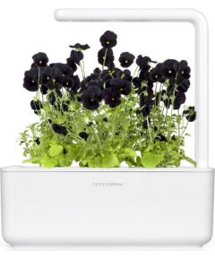 Click & Grow Smart Garden refill Black pansy 3pcs