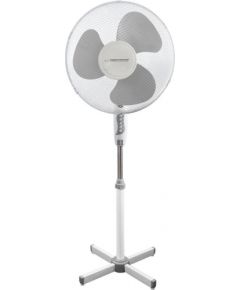 ESPERANZA EHF001WE FAN white / gray