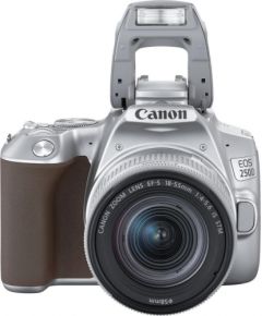 Canon EOS 250D + 18-55mm IS STM Kit, sudrabots